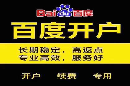 SEM竞价开户实操指南：经典案例解读